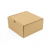 Коробка с крышкой 200*200*100 Т−24B